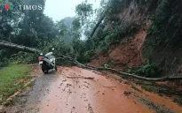 Mưa tiếp diễn, cảnh báo lũ quét, sạt lở đất tại Tuyên Quang, Thái Nguyên, Lào Cai
