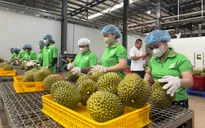 Xuất khẩu nông, lâm, thủy sản 7 tháng đạt gần 42,8 tỷ USD