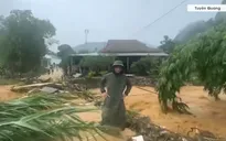 Mưa lớn gây sạt lở, ngập úng, chia cắt nhiều nơi ở Tuyên Quang, Lào Cai