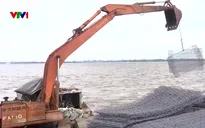 Cần Thơ chạy đua gia cố, bảo vệ đê phòng hộ ven sông Hậu