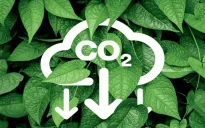 Sàn giao dịch carbon vẫn thiếu nguồn cung