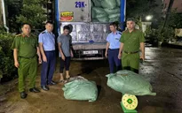 Phát hiện xe tải chở hơn 8,7 tấn chân gà chế biến không rõ nguồn gốc