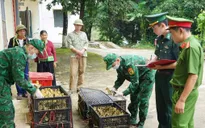 Liên tiếp bắt vụ vận chuyển gia cầm giống, thực phẩm đông lạnh nhập lậu ở Lạng Sơn