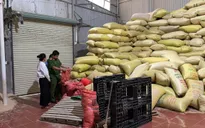 Hơn 22 tấn gạo giả thương hiệu Séng Cù bị phát hiện