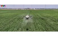 Cảm biến, drone hỗ trợ nông nghiệp ứng phó khí hậu cực đoan