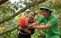 Đến Đắk Lắk mùa sầu riêng - Một lễ hội, nhiều trải nghiệm