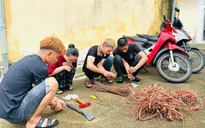 Bắt nhóm trộm cáp điện, gây thiệt hại hàng trăm triệu đồng