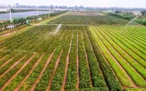 Hà Nội: Xây dựng dữ liệu đất đai đi trước một bước, tạo nền tảng quản trị hiện đại