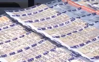 Hong Kong (Trung Quốc) triệt phá đường dây lừa đảo xuyên quốc gia