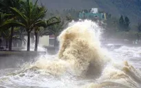 Các xã ven biển Quảng Ngãi chủ động ứng phó áp thấp nhiệt đới