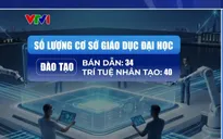 Hơn 70 trường đào tạo bán dẫn, AI: Bộ GD-ĐT sẽ kiểm tra điều kiện thực hành