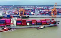 Khẩn trương gỡ vướng cấp C/O xuất khẩu cho doanh nghiệp