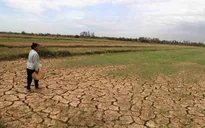 El Nino mạnh đến rất mạnh, Bộ Nông nghiệp và Môi trường cảnh báo nguy cơ hạn hán, xâm nhập mặn