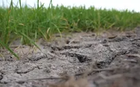 Nguy cơ El Nino rất mạnh và cú sốc lương thực ở Đông Nam Á