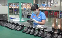 Doanh nghiệp thủy sản, giày dép kiến nghị gỡ khó C/O