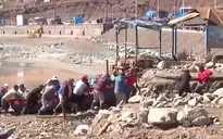 El Nino gây mưa lớn bất thường ở Chile