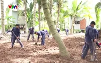 Phát hiện 42 hài cốt liệt sĩ trong vườn dừa vùng biên