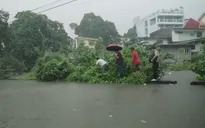 Philippines: 88 địa phương ban bố tình trạng thảm họa