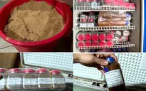 Tự chế thuốc, quảng cáo chữa bệnh nan y, 2 người bị khởi tố
