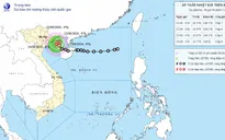 Áp thấp nhiệt đới đổi hướng, tăng cường độ trên Bắc Vịnh Bắc Bộ