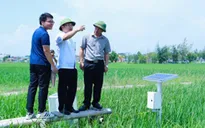 Ứng dụng công nghệ AI trong sản xuất lúa phát thải thấp, tạo tín chỉ Carbon