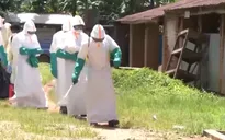 Cảnh báo dịch Ebola lan rộng theo cấp số nhân