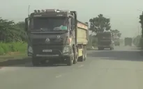 Chủ xe cho ô tô không kinh doanh vận tải chở hàng thu tiền bị phạt đến 52 triệu đồng