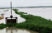 Bắc Ninh phát lệnh báo động lũ trên sông Thương, sông Lục Nam