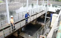 Hải Phòng huy động hơn 11.000 người ứng phó bão số 4