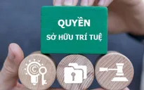 Tăng cường chế tài xử lý các hành vi xâm phạm quyền, vi phạm pháp luật về sở hữu trí tuệ