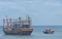 Huy động tàu cá ngư dân giải cứu tàu cá mắc cạn ở Cửa Tùng