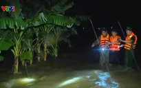 Hơn 8.300 hecta lúa, hoa màu ở Bắc Ninh bị ngập úng