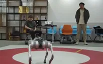 Robot điều khiển bằng não bộ