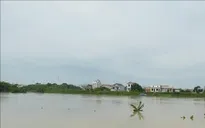 Bắc Ninh rút lệnh báo động I trên sông Lục Nam