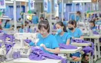 Đề xuất chế độ kế toán đơn giản cho doanh nghiệp siêu nhỏ