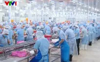 Xuất khẩu hàng Việt qua Mỹ, Trung Quốc bằng TikTok Shop