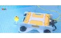 Việt Nam làm chủ chế tạo robot lặn biển điều khiển từ xa