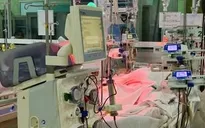Cảnh báo nhiều ca sốt xuất huyết diễn tiến nặng