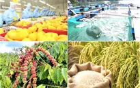 Giữ mục tiêu tăng trưởng nông, lâm, thủy sản 4%