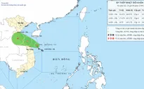 Áp thấp nhiệt đới trên vùng biển Quảng Trị - TP Đà Nẵng, miền Trung có nơi mưa to trên 350 mm