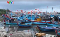 Hơn 53.000 tàu thuyền được hướng dẫn chủ động tránh áp thấp nhiệt đới