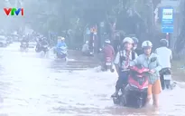 Triều cường ở Cần Thơ vượt báo động III, gây ngập sâu nhiều khu vực
