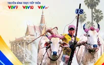 Rộn ràng ngày Hội đua bò chùa Rô