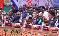 Nâng tầm tham gia của Việt Nam tại BRICS, thúc đẩy hợp tác thực chất với Ấn Độ