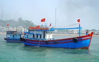 WB cho vay gần 667 triệu USD “tiếp sức” hạ tầng và sinh kế ven biển Việt Nam