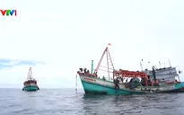 Tháng cao điểm chống khai thác IUU đạt kết quả tích cực