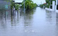 Ninh Bình chủ động ứng phó với mưa to kéo dài và lũ