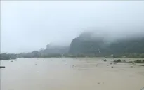 Lũ sông Hoàng Long đạt đỉnh, nhiều khu vực ở Ninh Bình nguy cơ ngập lụt