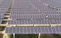 Cú sốc dầu mỏ thúc đẩy chuyển dịch năng lượng