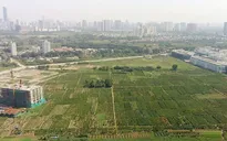 Căn cứ quy hoạch nào để thực hiện thủ tục đất đai?